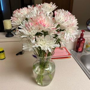 Meet your Posher, Dakota